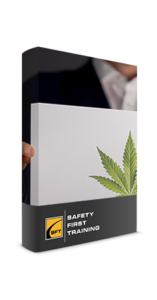 A person holding up a book with a marijuana leaf on it.